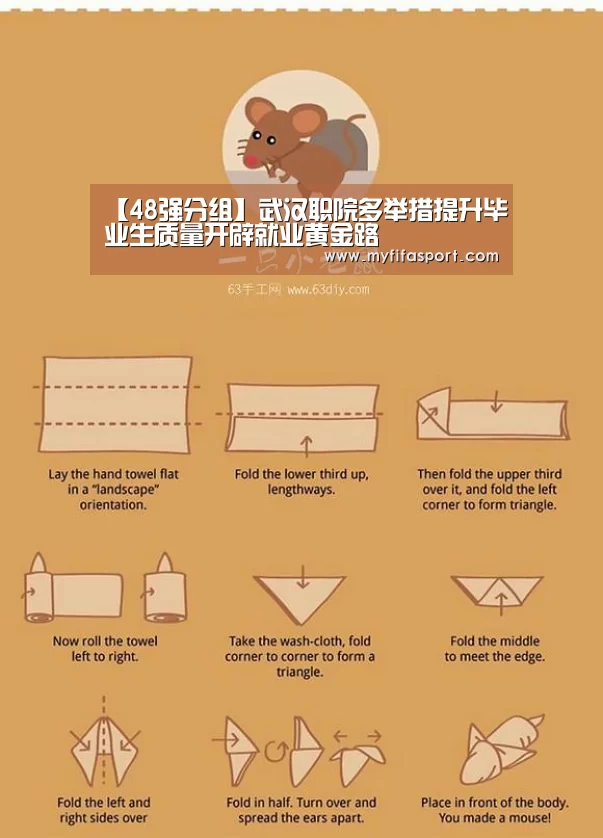 48强分组
