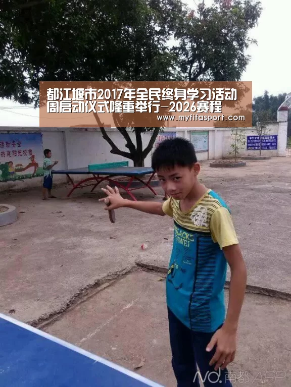 48强分组