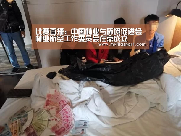 48强分组